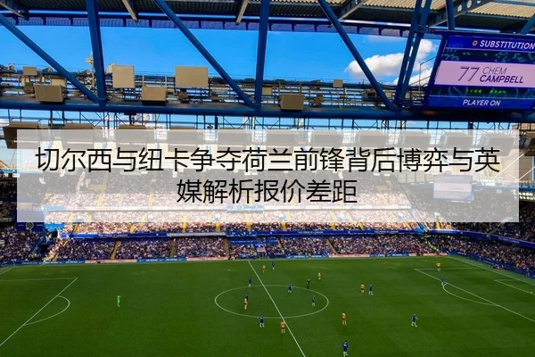 切尔西与纽卡争夺荷兰前锋背后博弈与英媒解析报价差距